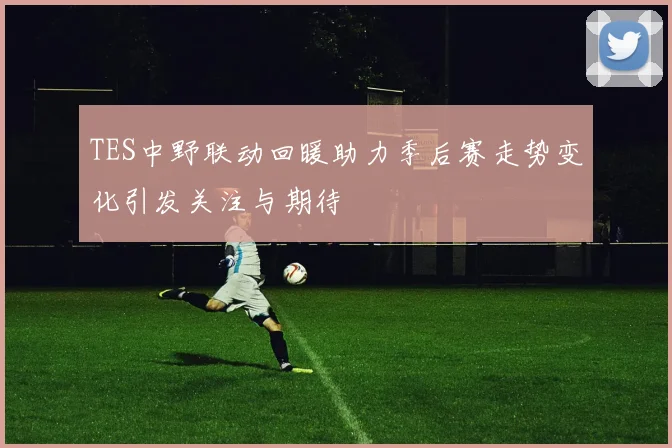 TES中野联动回暖助力季后赛走势变化引发关注与期待