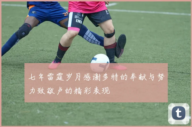 七年雷霆岁月感谢多特的奉献与努力致敬卢的精彩表现